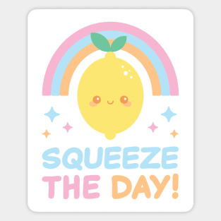 Squeeze The Day Magnet
